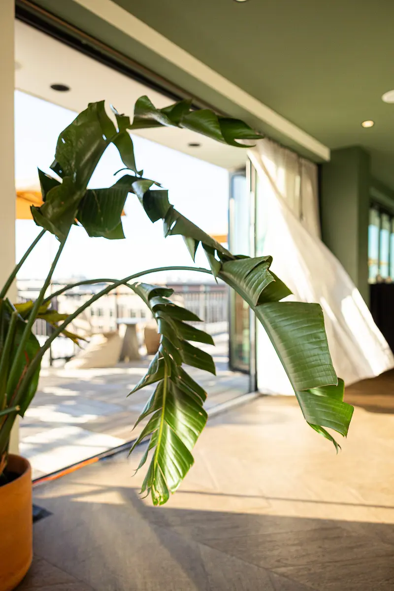 Rooftop networking event decor photographed vertically for an event planner in Washington DC